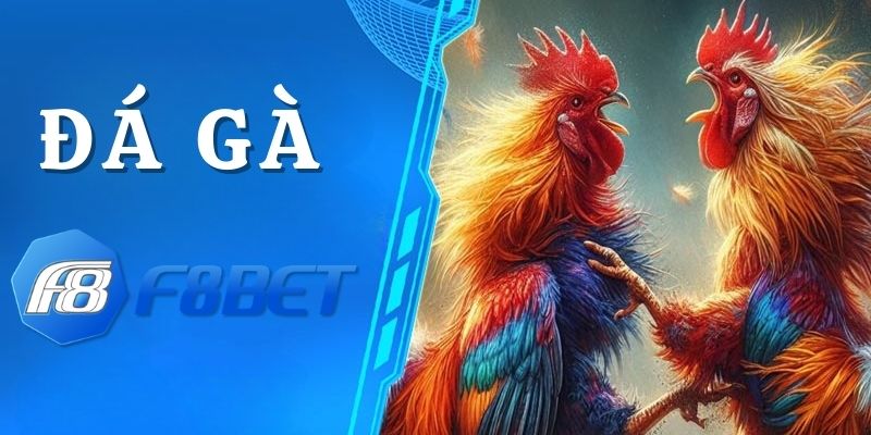 Đá Gà F8bet: Trải Nghiệm Cá Cược Đỉnh Cao Với Gà Chiến